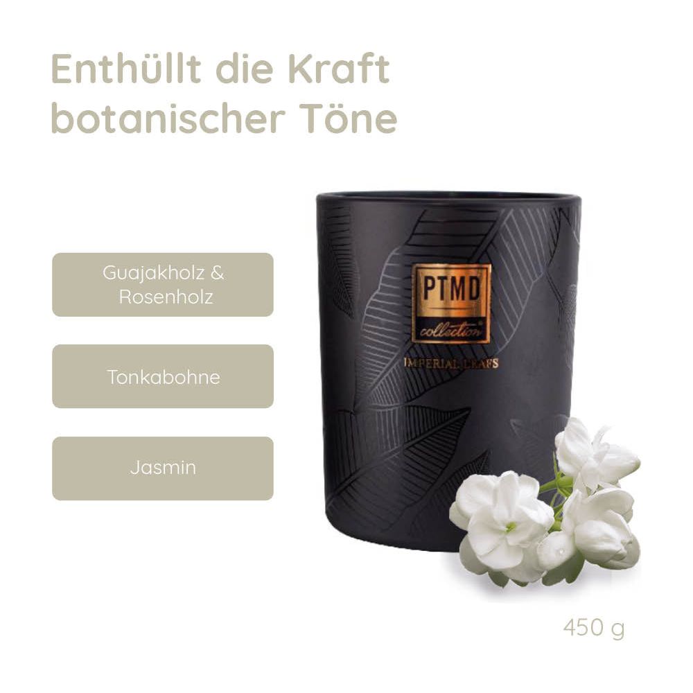 Elements Fragrance Duftkerze - Imperial Leafs von PTMD - Esszett Luxury