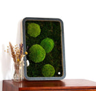 Green Oasis Black von Vertical Nature - Esszett Luxury