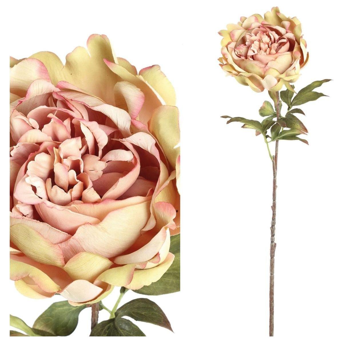 Kunstblume - Peony Flower cream pink peony stem - Esszett Luxury