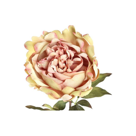 Kunstblume - Peony Flower cream pink peony stem - Esszett Luxury